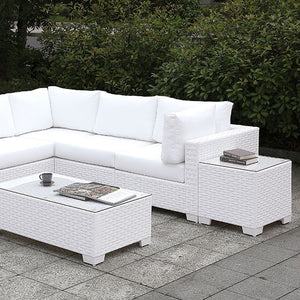 Somani-L-Sectional + Coffee Table